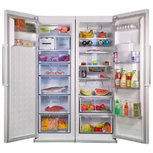 یخچال فریزر دوقلو دیپوینت مدل D4 gallery 2