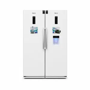یخچال فریزر دوقلو دیپوینت مدل D4 gallery 1